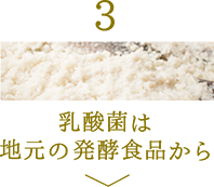 乳酸菌は
						地元の発酵食品から