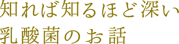 知れば知るほど深い乳酸菌のお話へ一覧